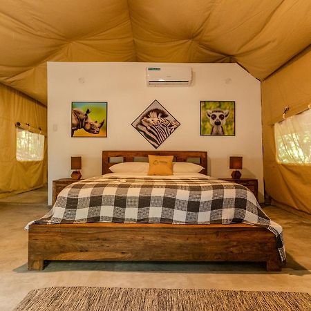 Hostel-Island Paradise, Saboga Lodge And Villa Noelia (Adults Only) Panama  Extérieur photo