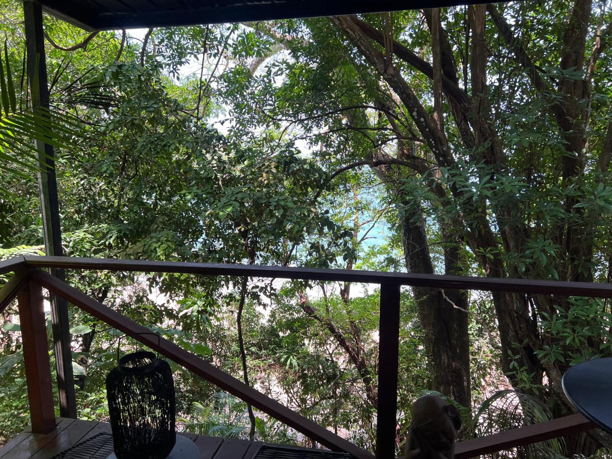 Hostel-Island Paradise, Saboga Lodge And Villa Noelia (Adults Only) Panama  Extérieur photo
