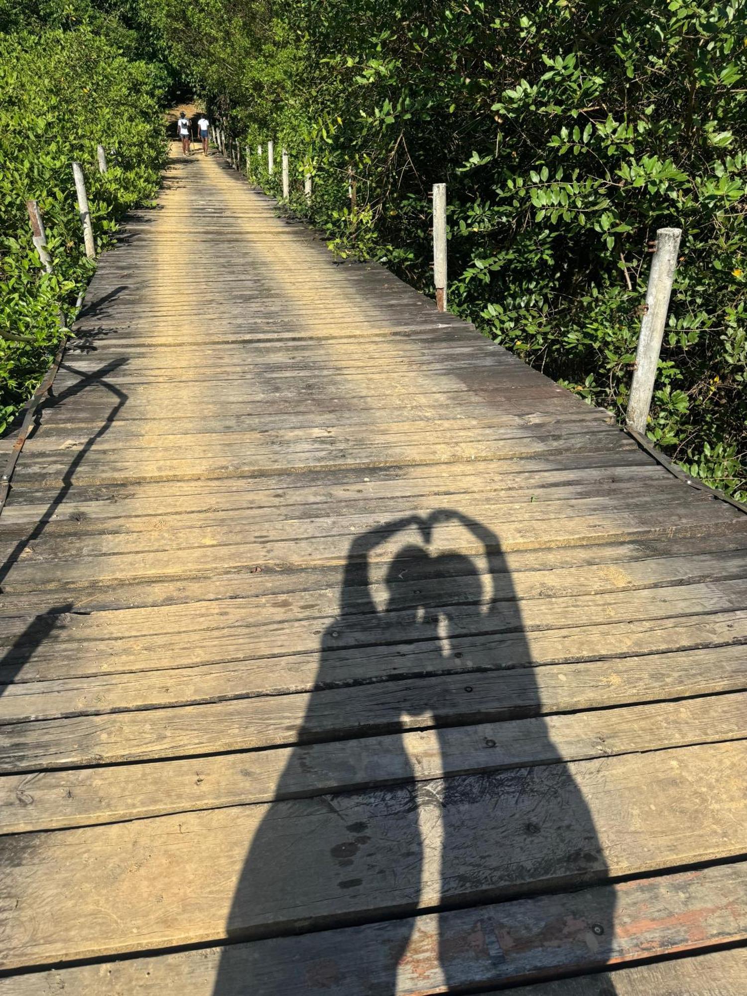 Hostel-Island Paradise, Saboga Lodge And Villa Noelia (Adults Only) Panama  Extérieur photo