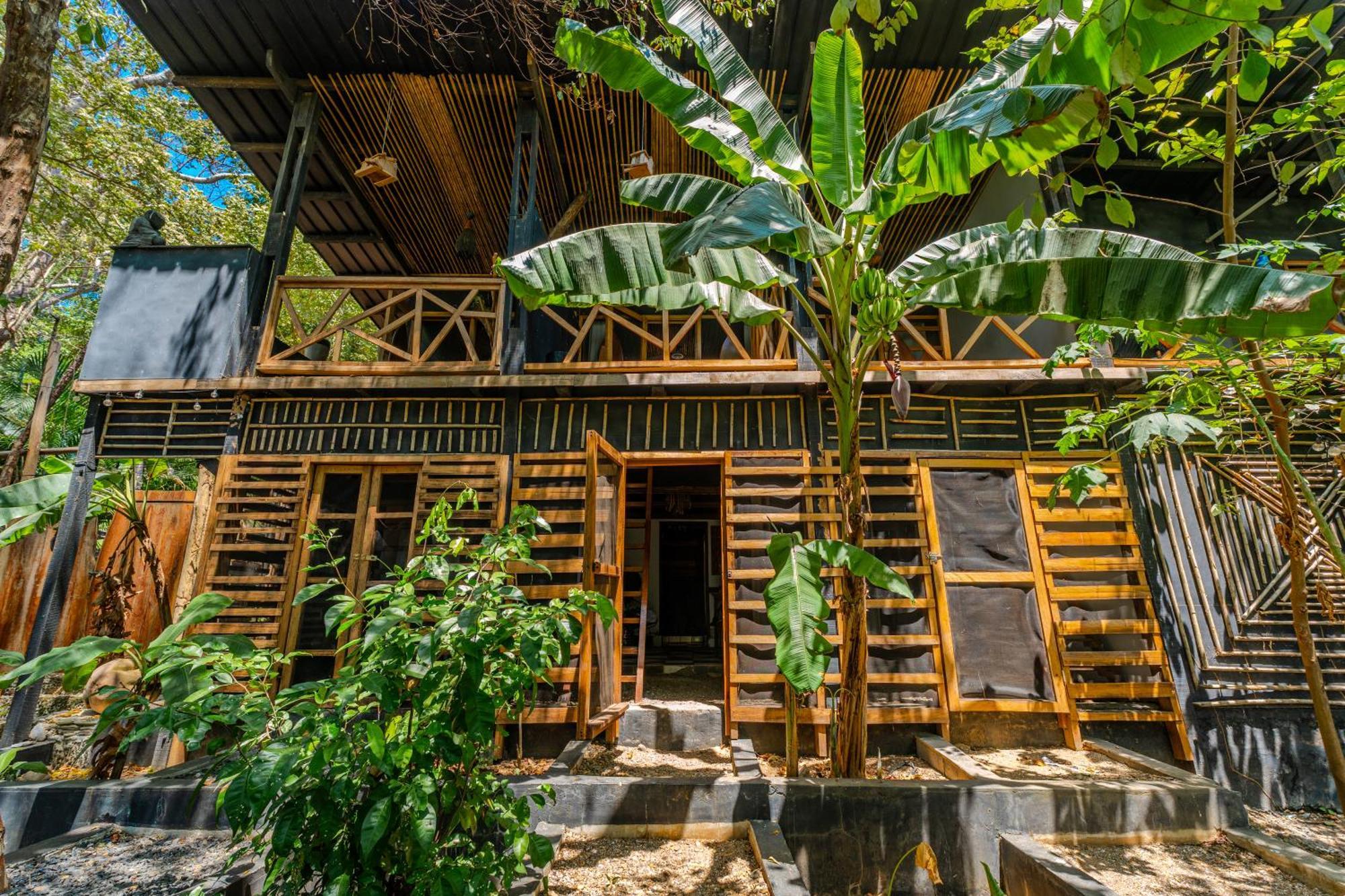 Hostel-Island Paradise, Saboga Lodge And Villa Noelia (Adults Only) Panama  Extérieur photo